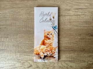 Masha Kočičky Hořká čokoláda 100g